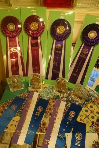 ¥É¥Ã¥°¥·¥ç¡¼