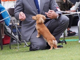 �ɥå����硼���