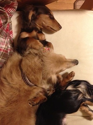 ¥½¥Õ¥¡¡¼¤Î¾å¤Ç