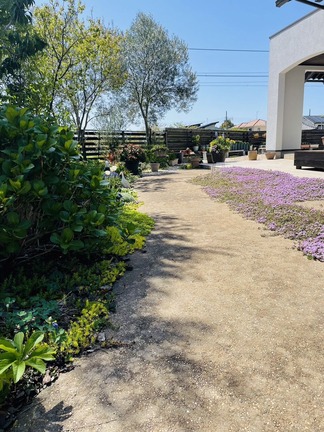 ���ץ�����