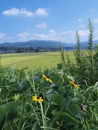 �ܤ����˹������ı�����