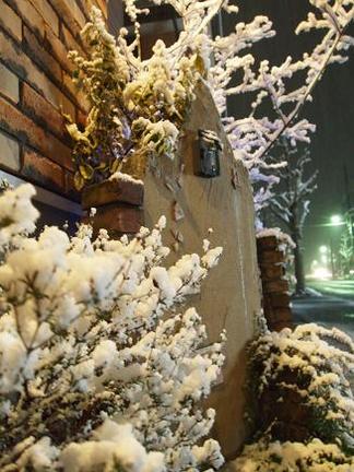 ���ᳰ�����