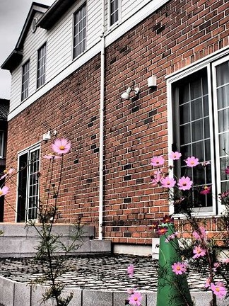 �����ǥ�ƥ饹