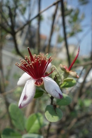 �ե������祢