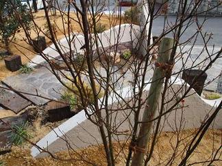 ���ڱۤ���į��륨��ȥ��