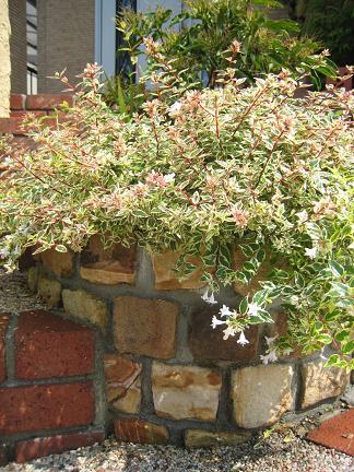 砂岩ピンコロ石積みの花壇