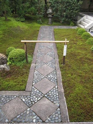 夢へ向かって