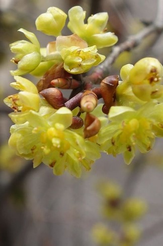 ���֥�����