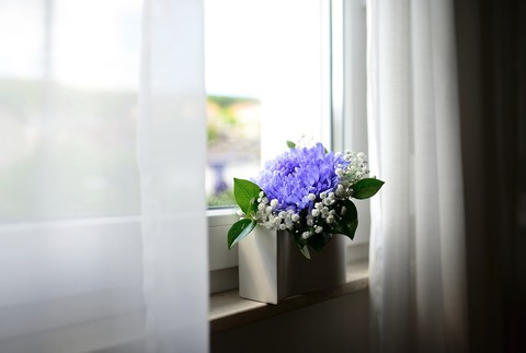 flower-vase-6060005_1280