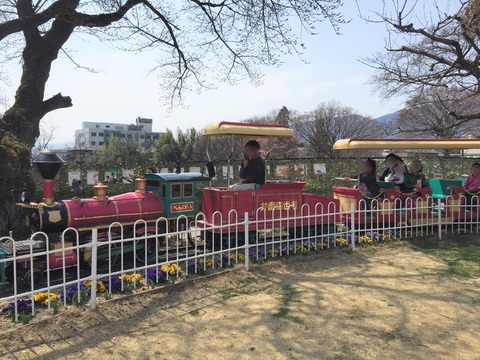 園内を走る列車