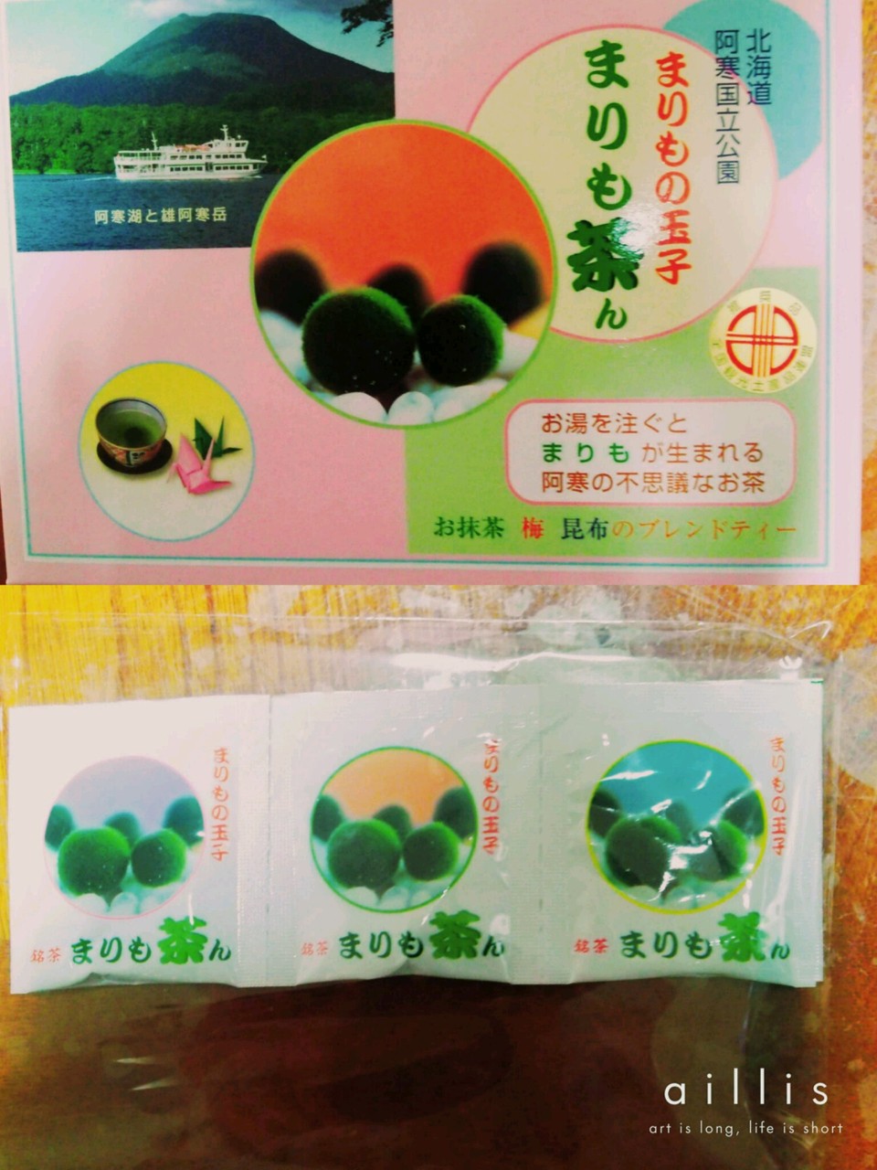 まりも茶ん なかの矯正歯科日記