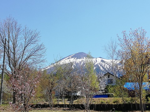 IMG_20200508_133352