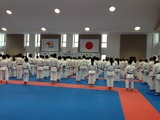jkf1