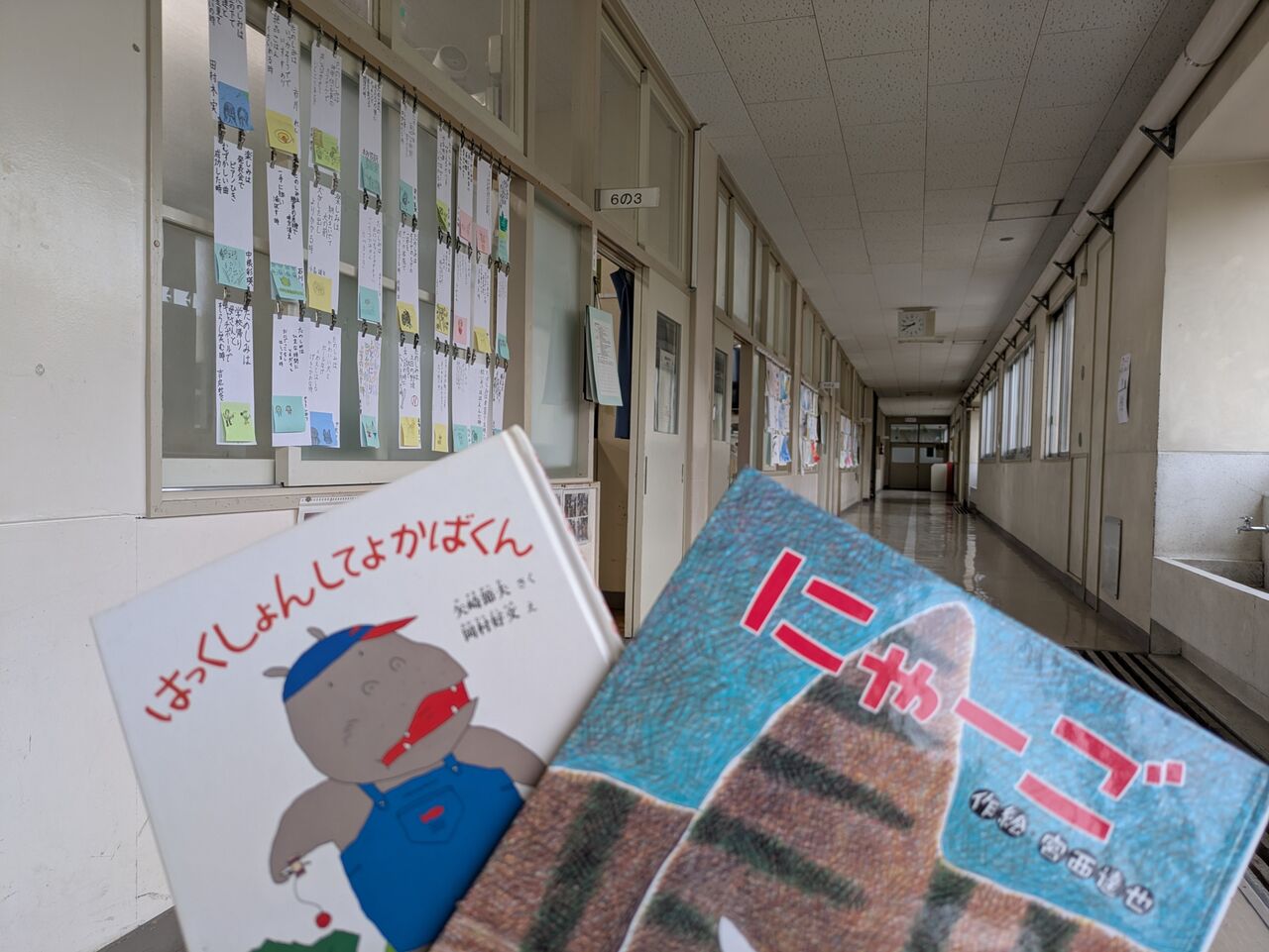 絵本の読み聞かせ 今年度最初（6/11）は、東郷小学6年3組 『にゃーご