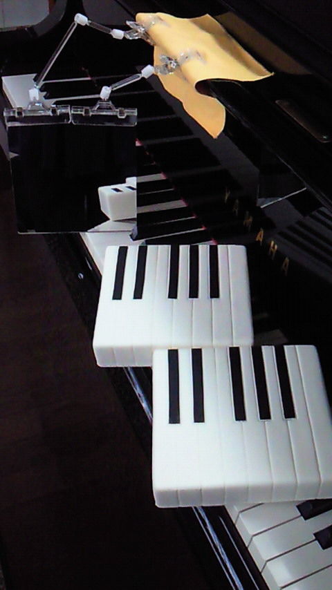 ぴあの鍵盤&ぴあのミラー : 中 野 音 楽 教 室