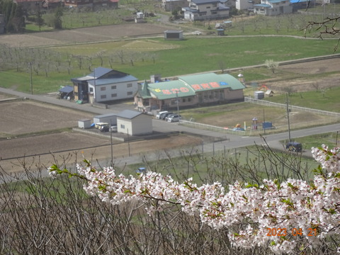 DSC09310