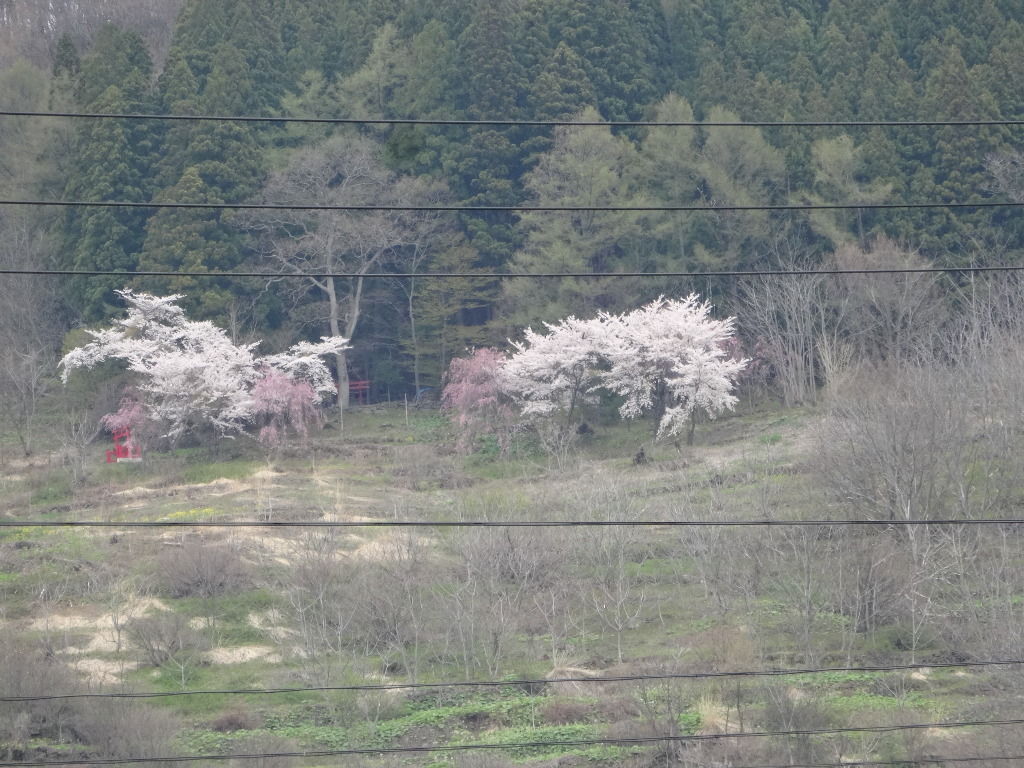 イメージ 12