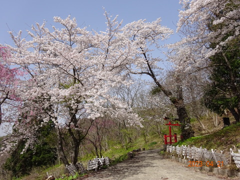 DSC09374