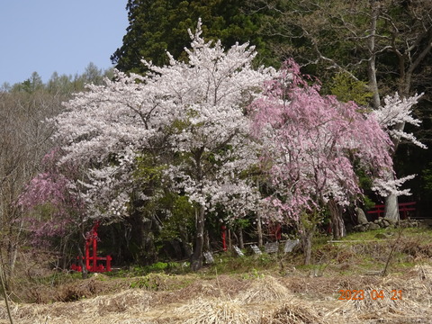 DSC09377