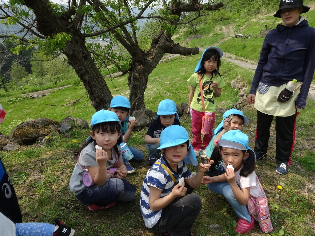イメージ 7