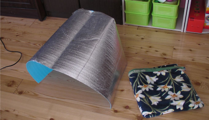 クリックで拡大。