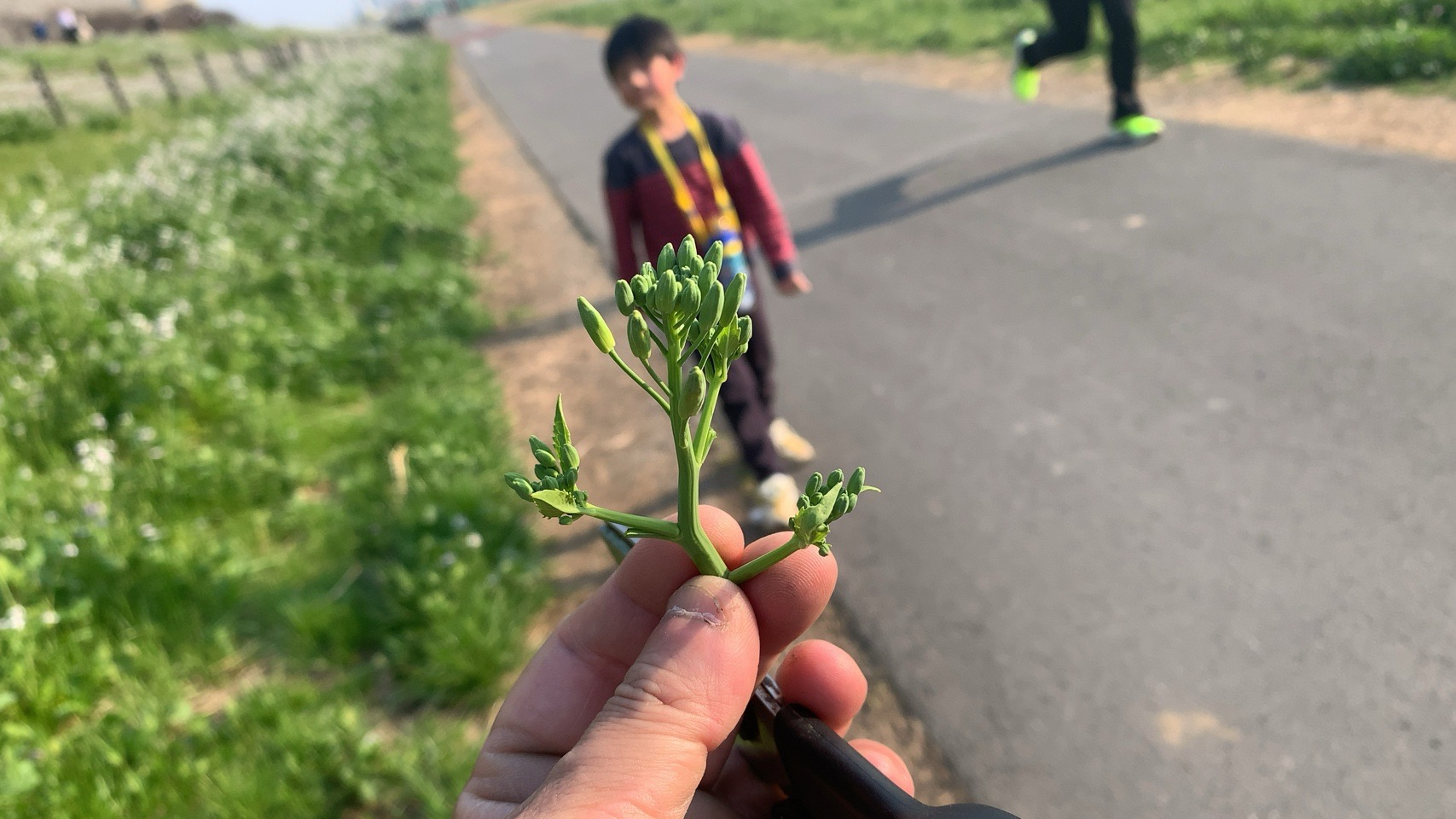 クリックで拡大（撮影：中野龍三）。