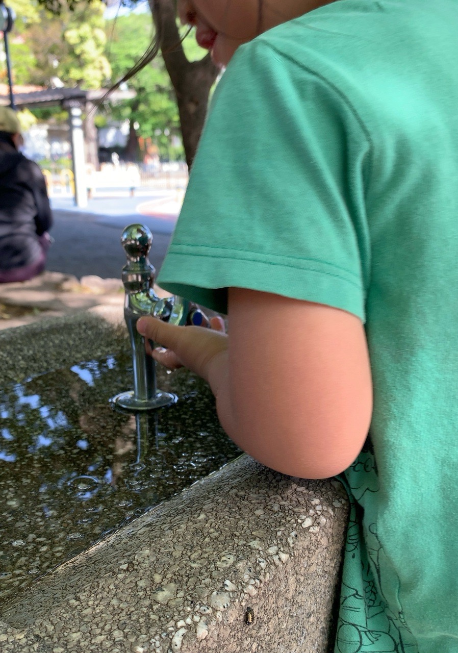 クリックで拡大(撮影:中野龍三)。