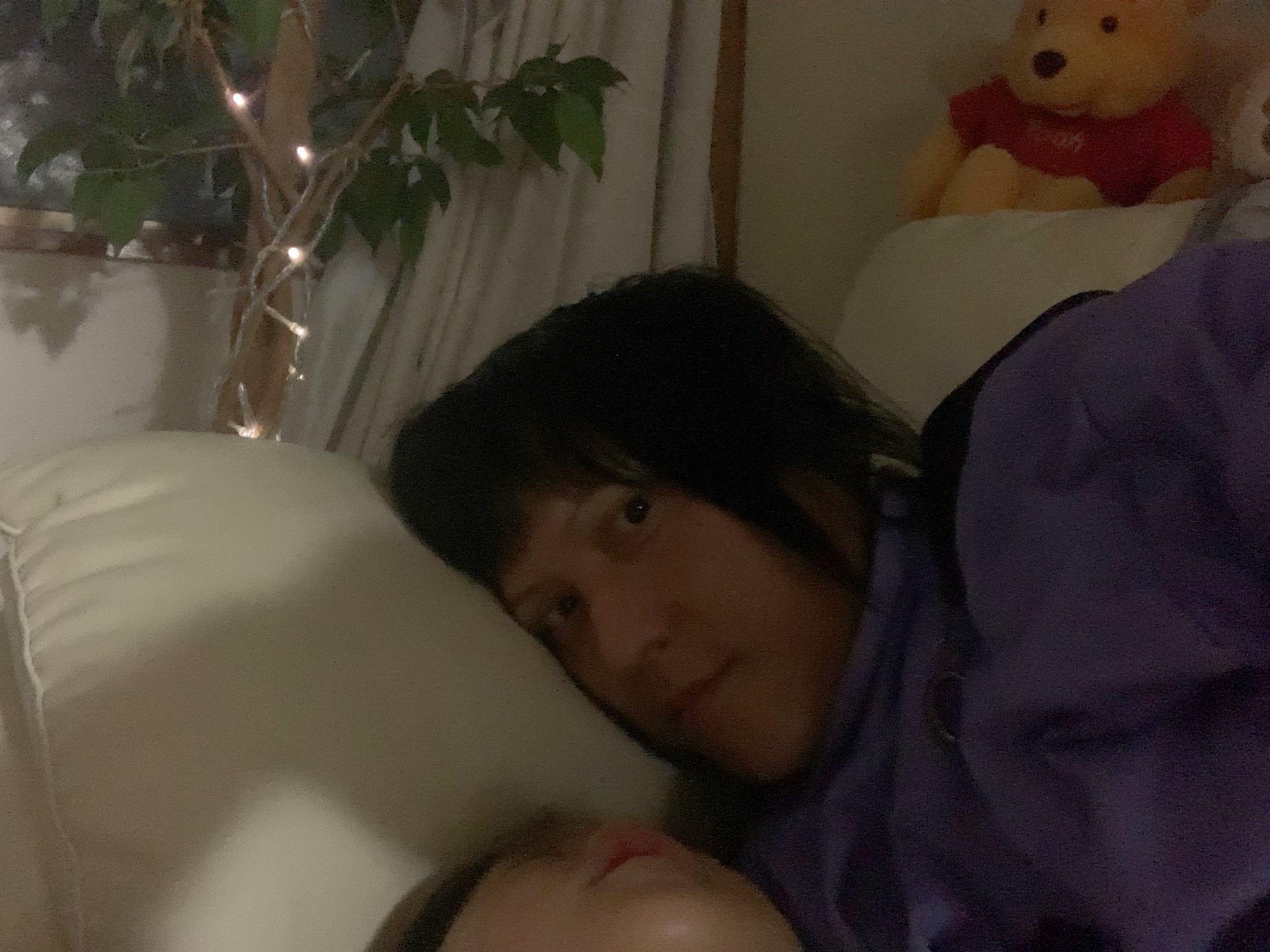クリックで拡大(撮影:中野龍三)。