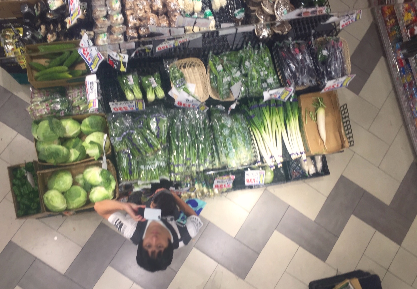 クリックで拡大(撮影:中野龍三)。