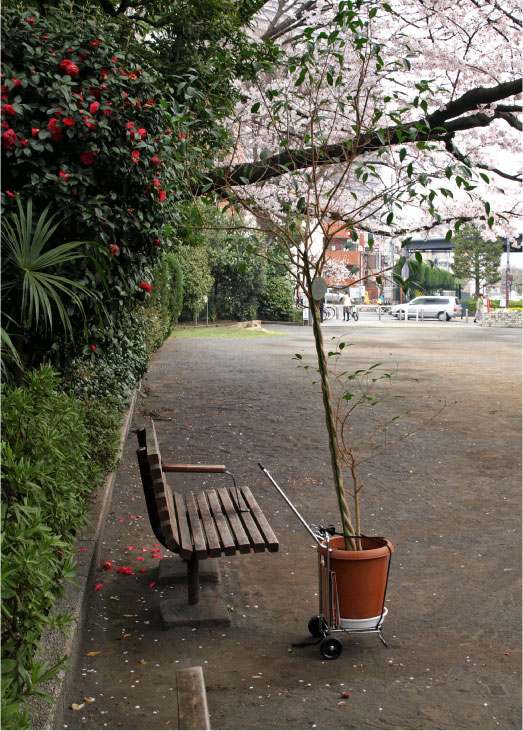 クリックで拡大。