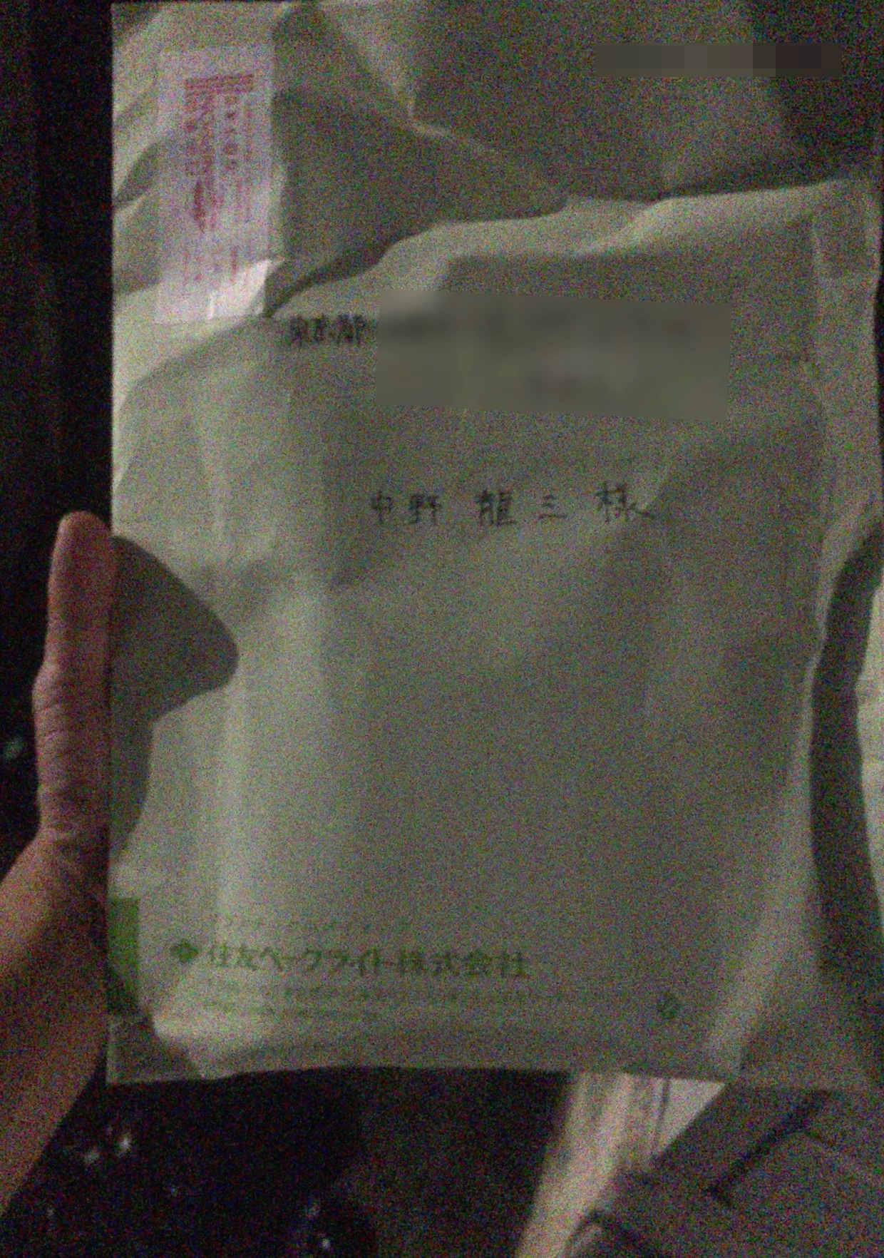 クリックで拡大(撮影:中野龍三)。