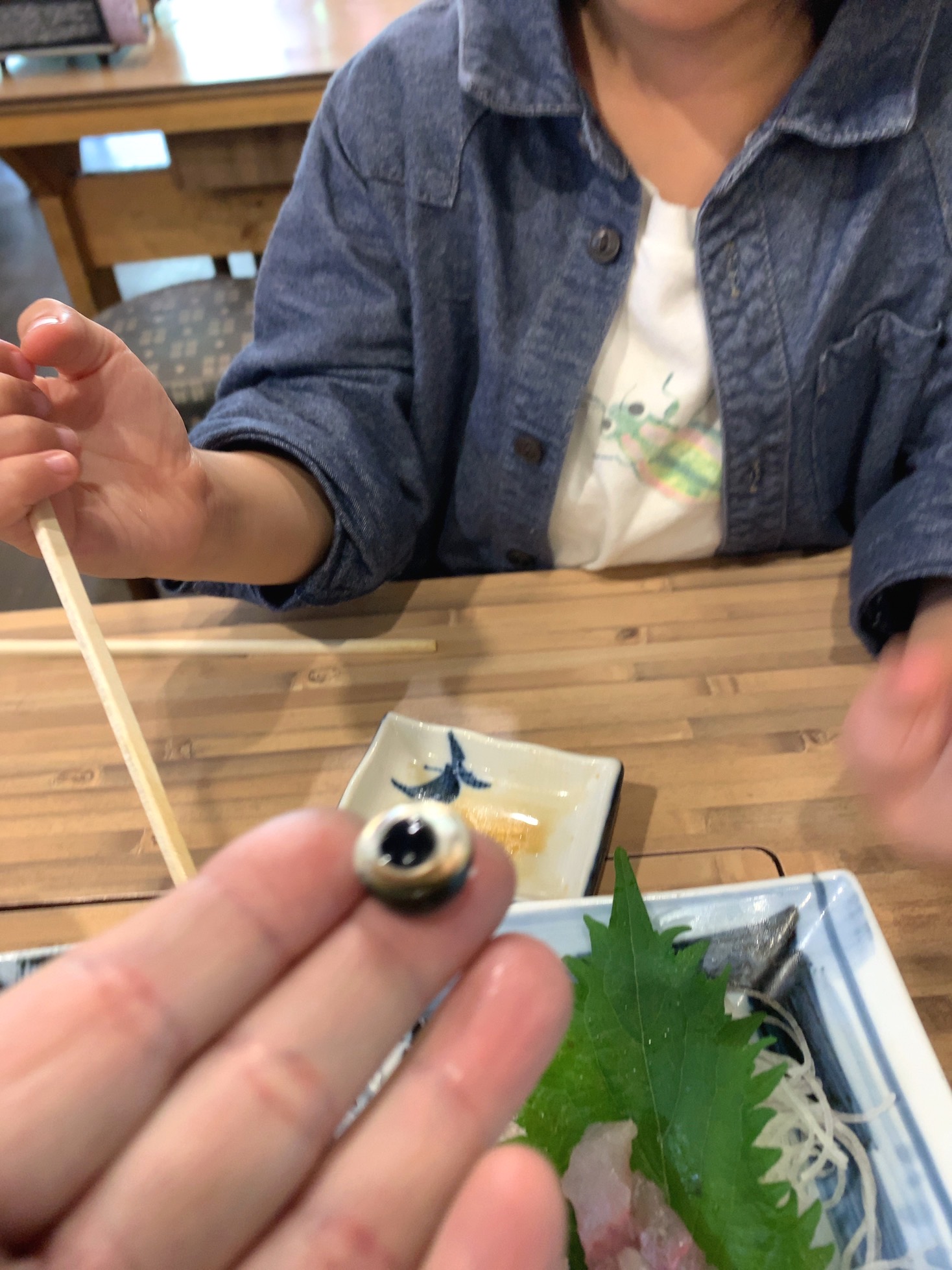 クリックで拡大(撮影:中野龍三)。