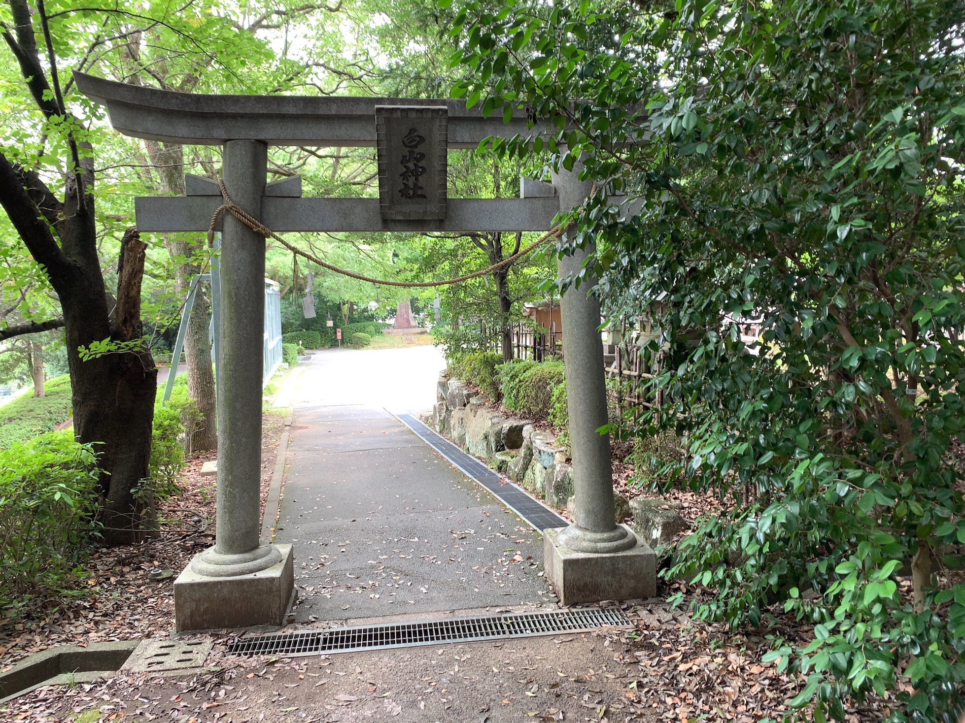 クリックで拡大(撮影:中野龍三)。