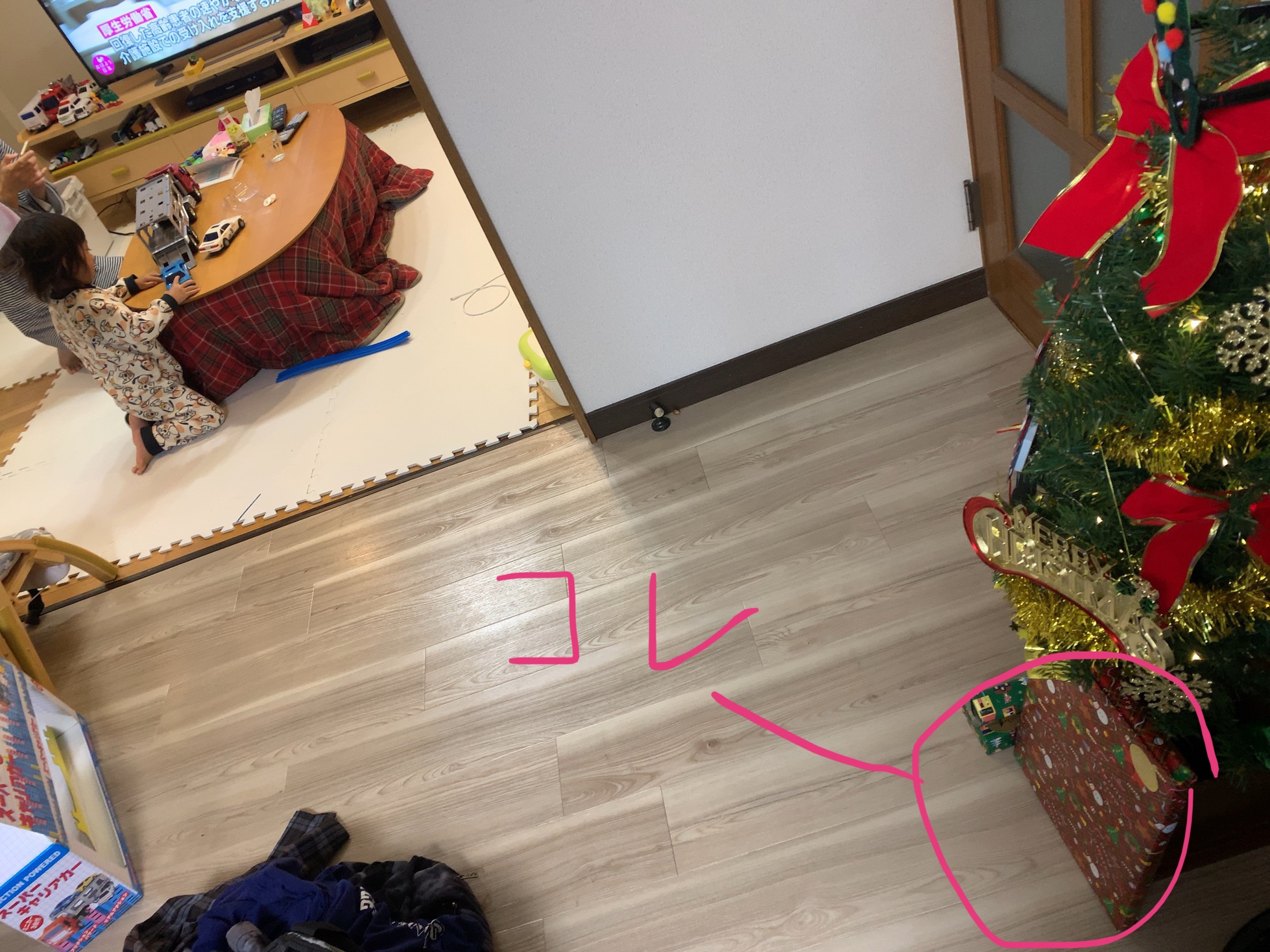 クリックで拡大(撮影:中野龍三)。