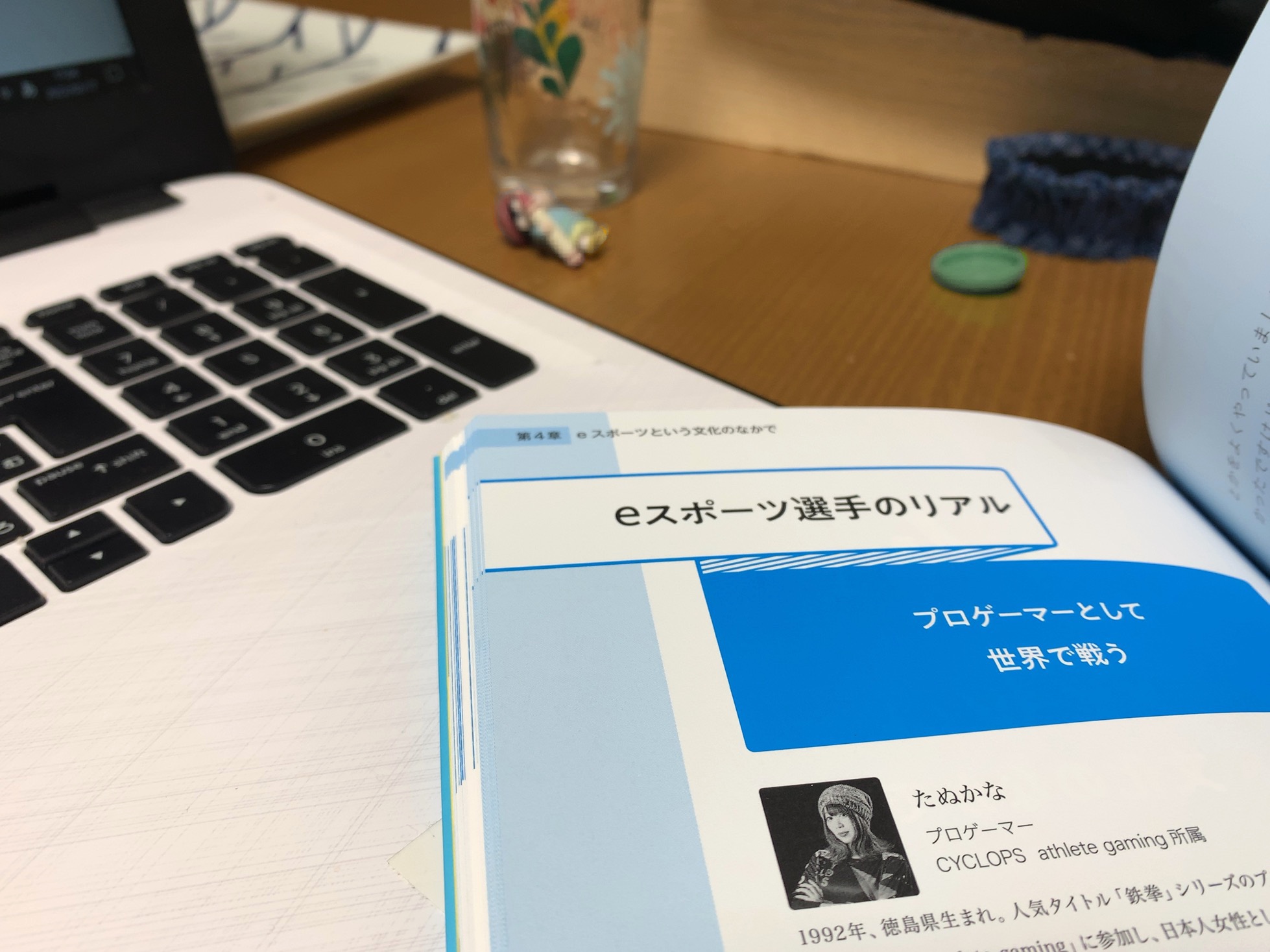 クリックで拡大(撮影:中野龍三)。