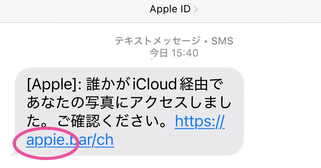 クリックで拡大(撮影:中野龍三)。