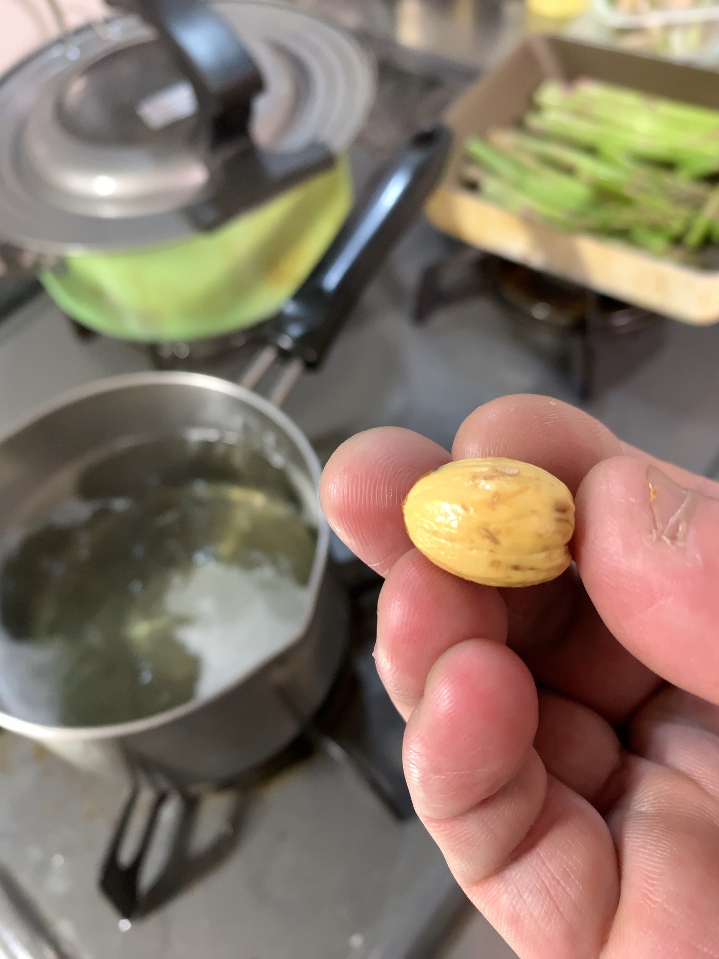クリックで拡大(撮影:中野龍三)。