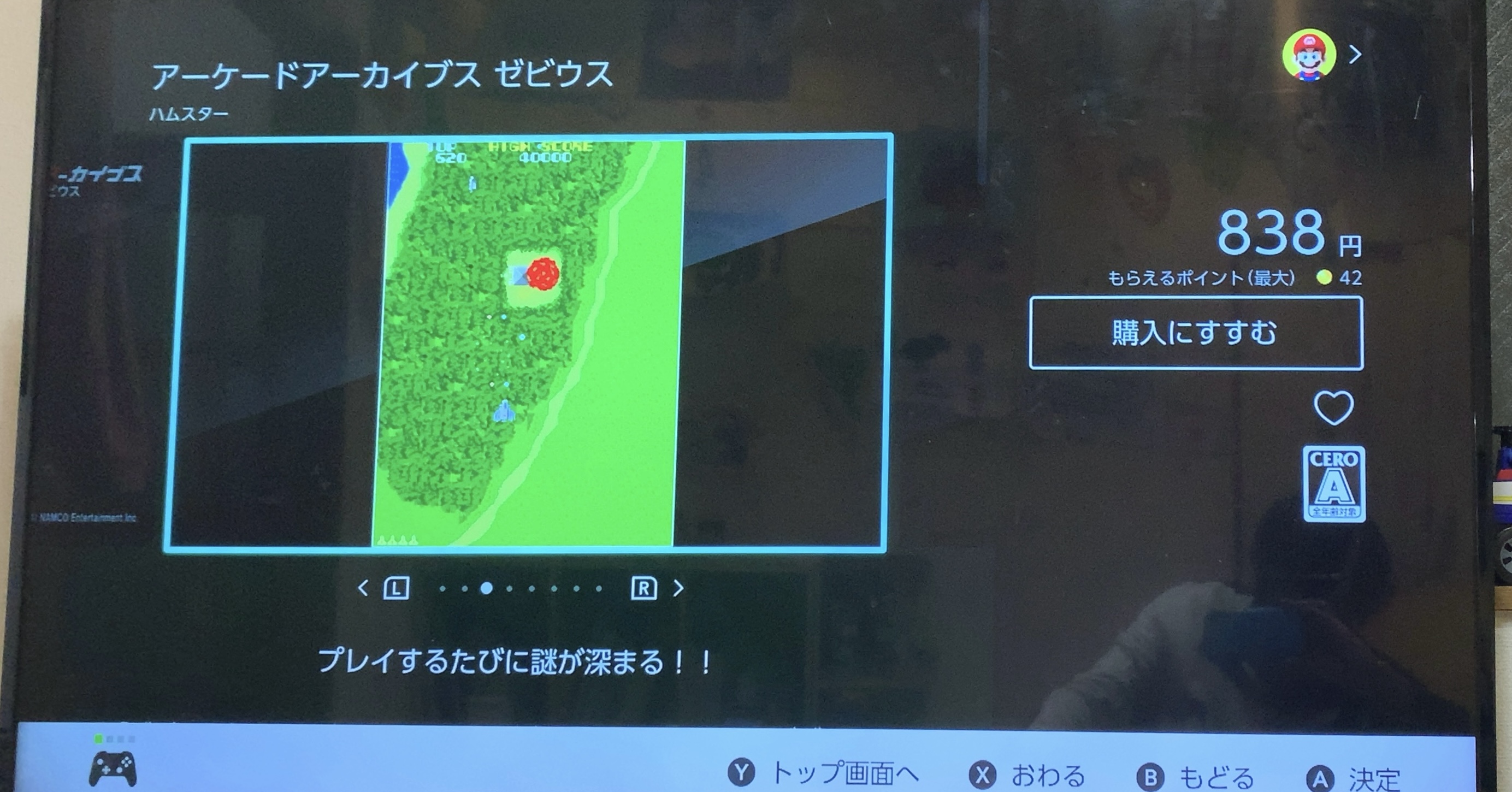 クリックで拡大(撮影:中野龍三)。