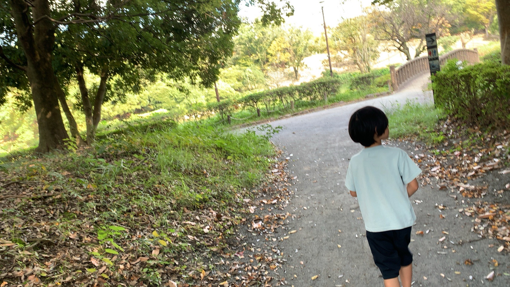 クリックで拡大(撮影:中野龍三)。
