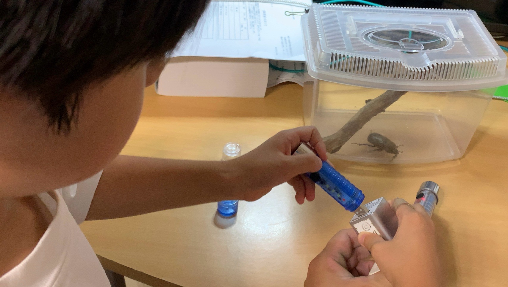 クリックで拡大(撮影:中野龍三)。