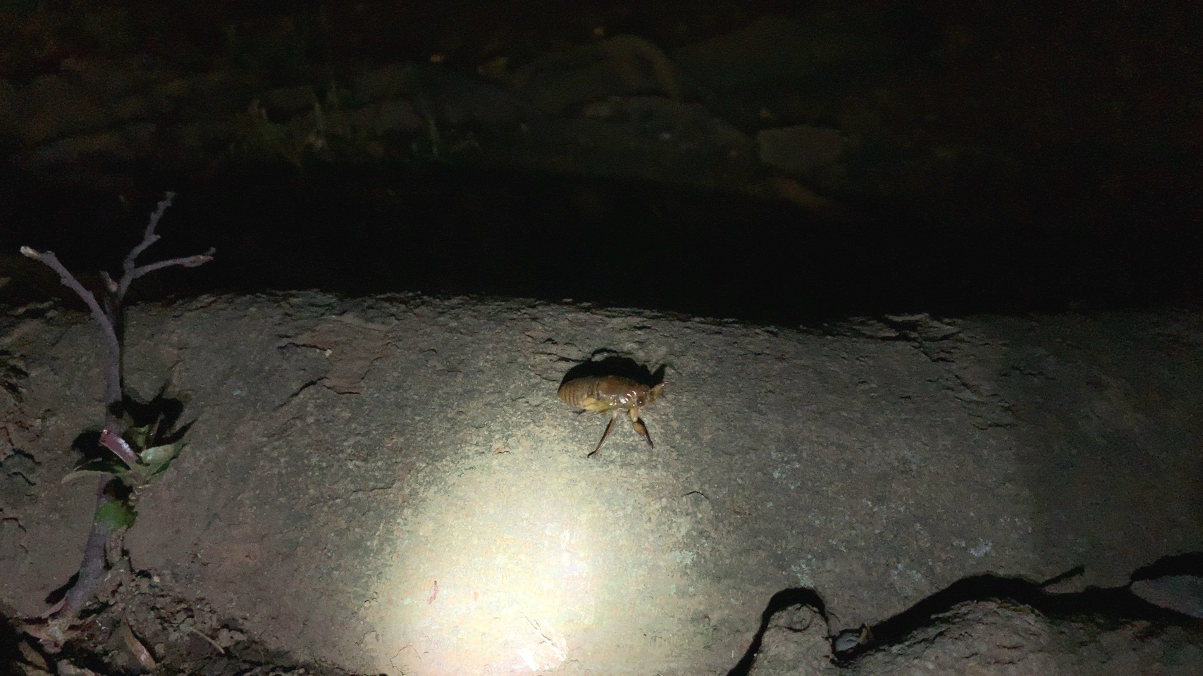 クリックで拡大(撮影:中野龍三)。