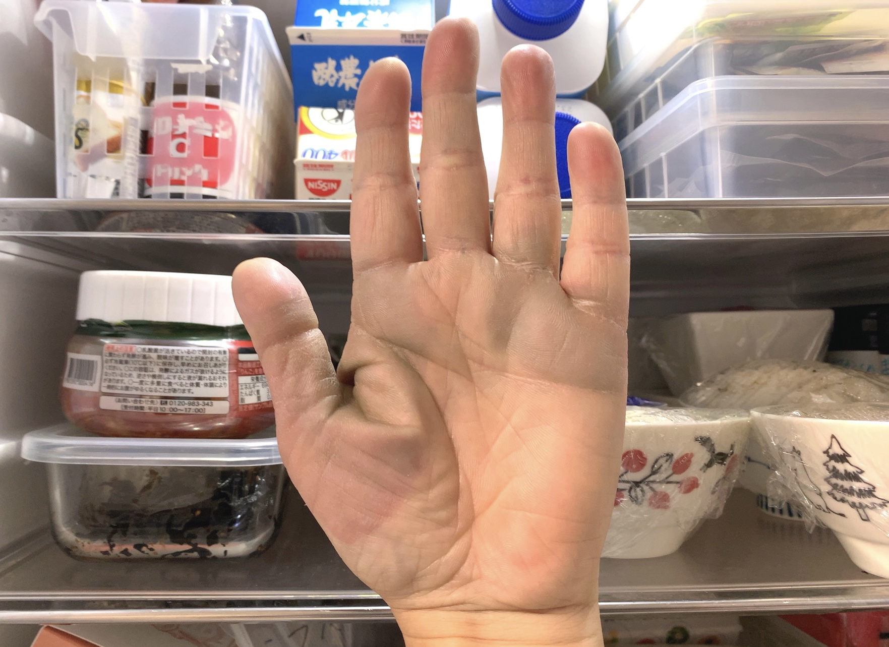 クリックで拡大(撮影:中野龍三)。