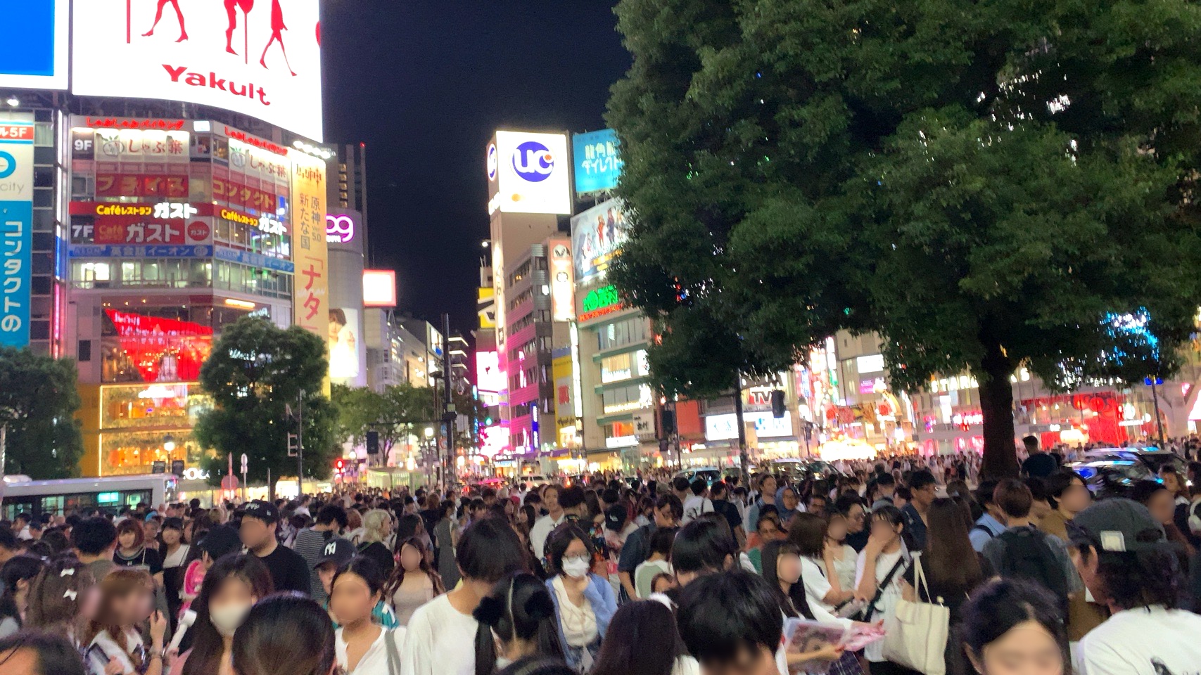 クリックで拡大(撮影:中野龍三)。