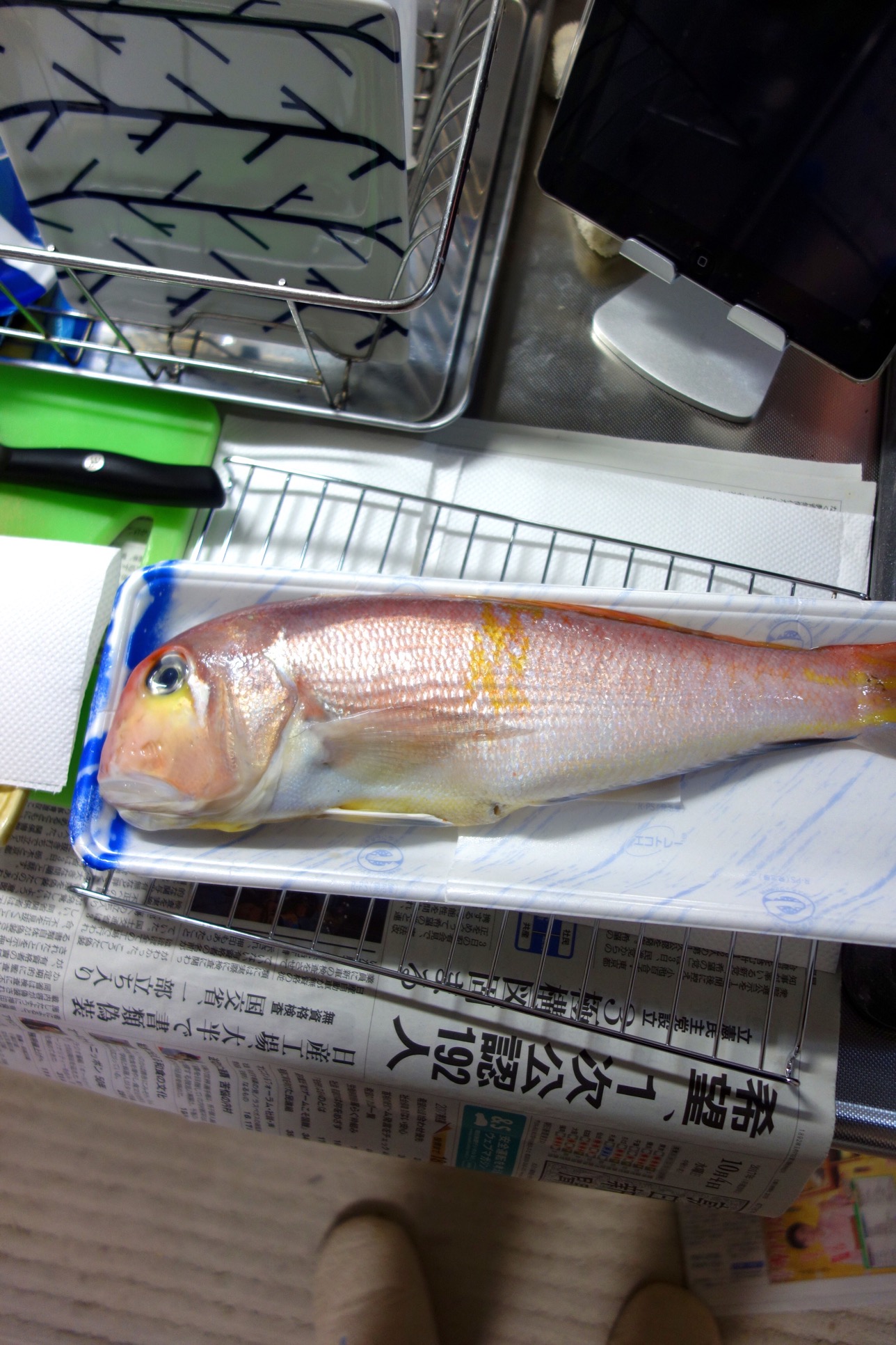 クリックで拡大(撮影:中野龍三)。