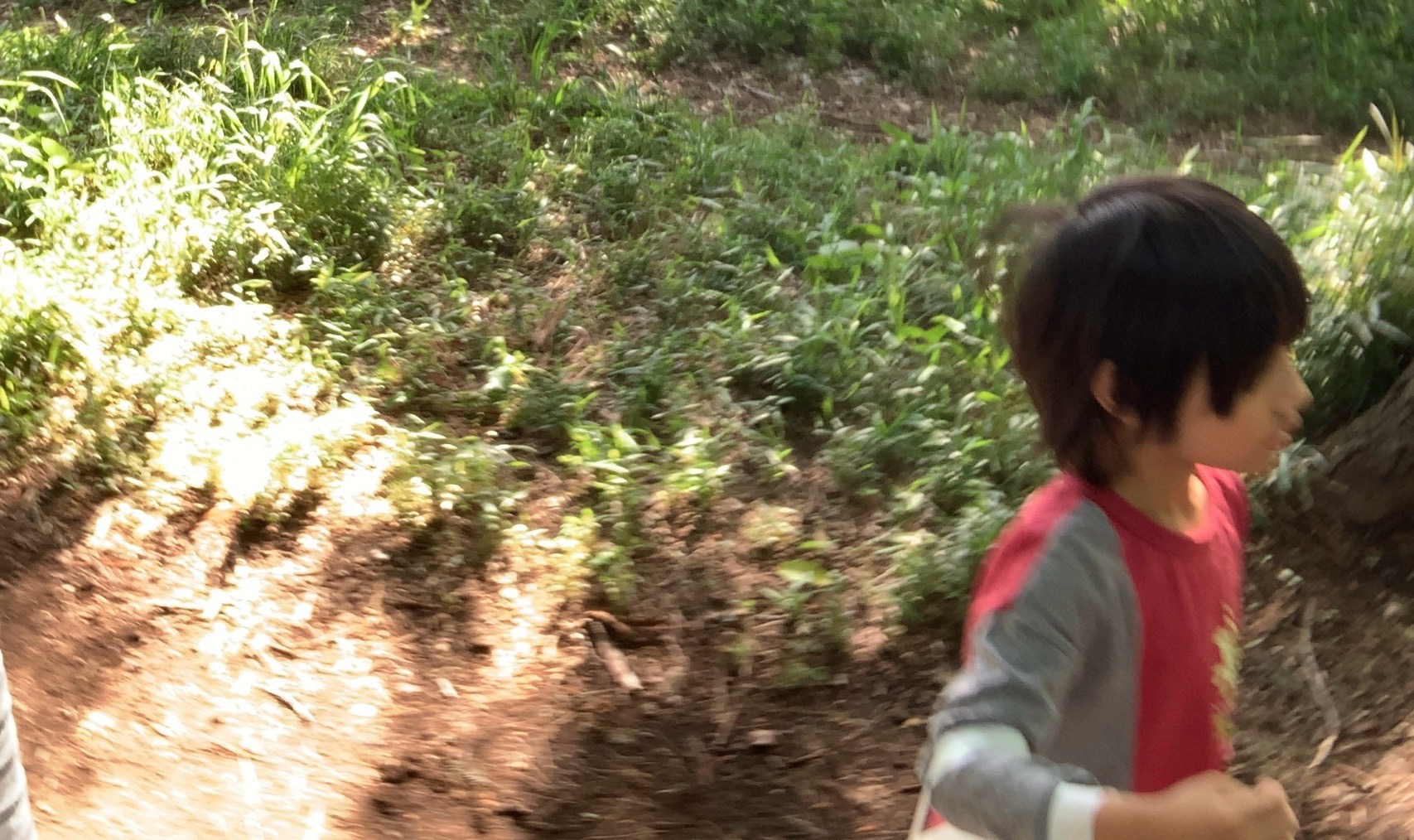 クリックで拡大(撮影:中野龍三)。