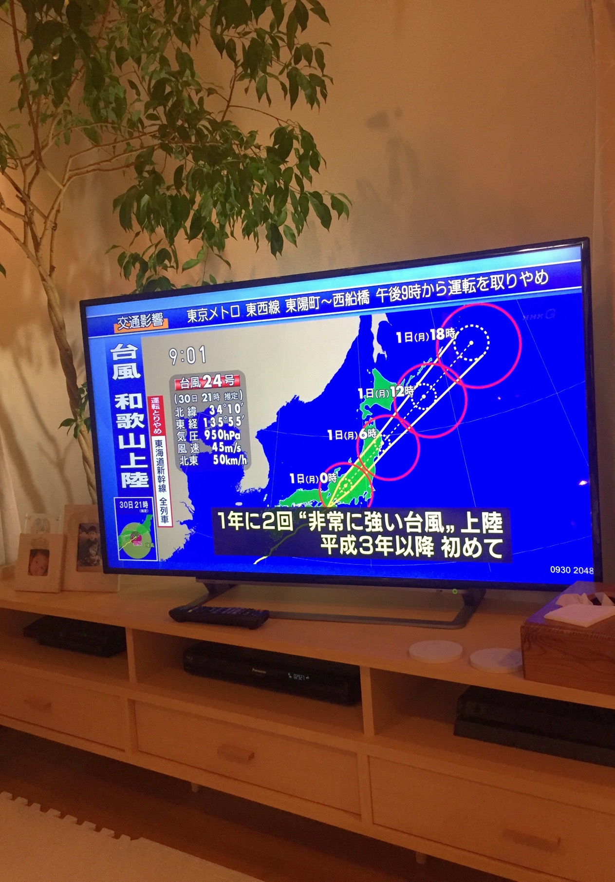 クリックで拡大(撮影:中野龍三)。