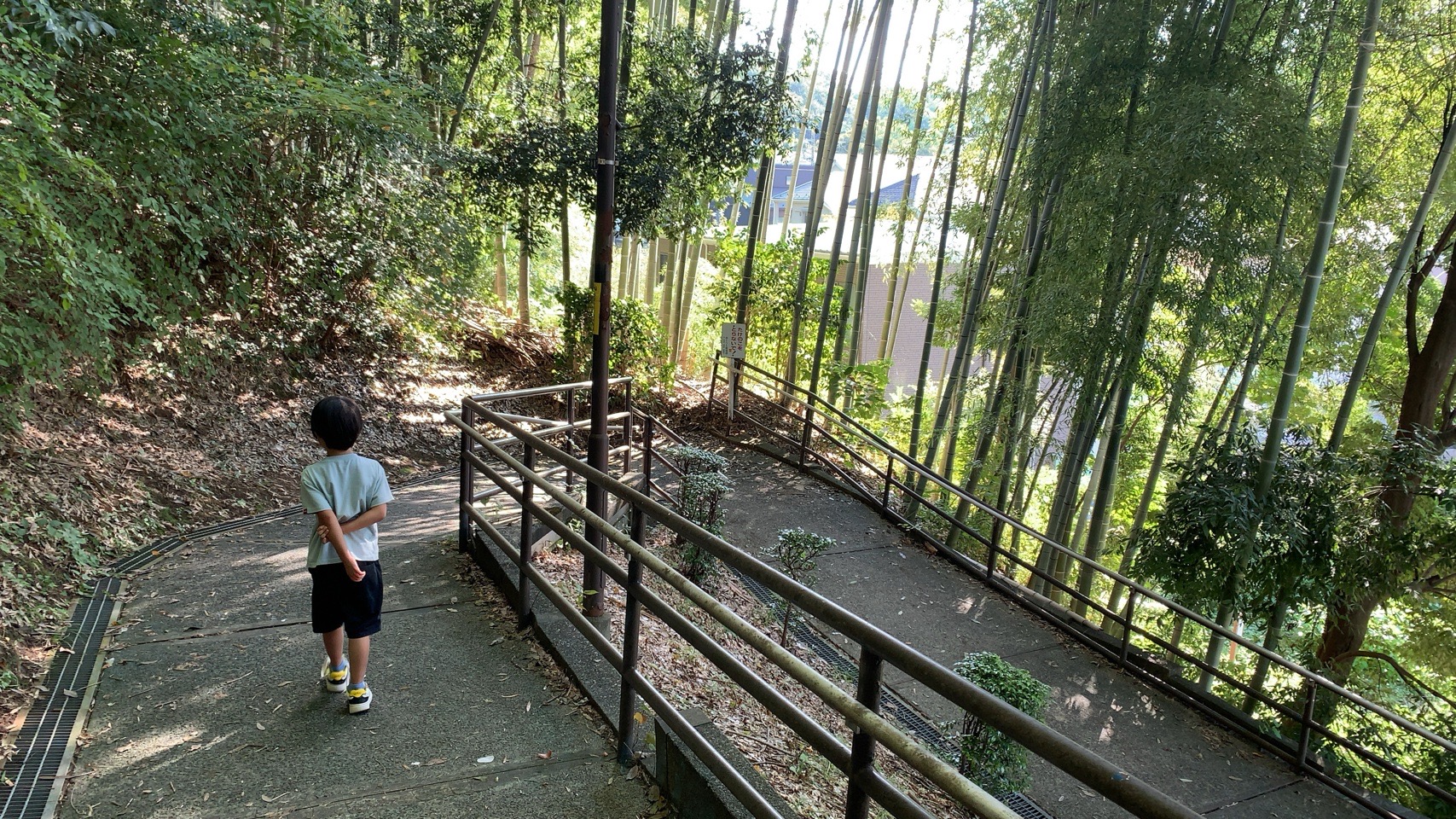 クリックで拡大(撮影:中野龍三)。