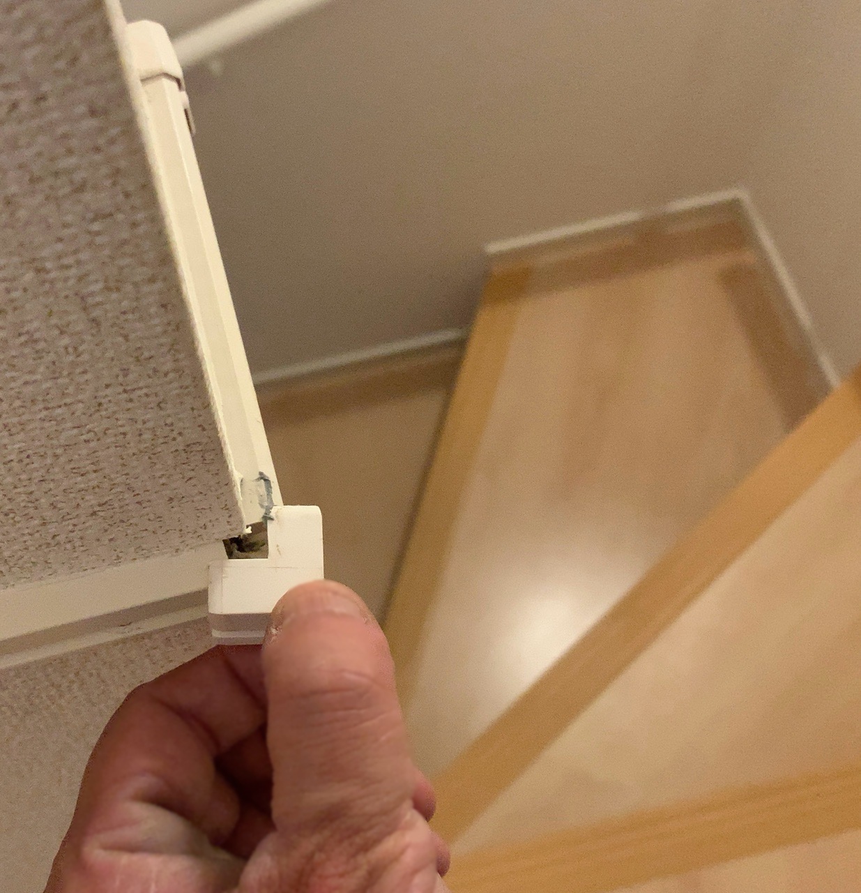 クリックで拡大(撮影:中野龍三)。