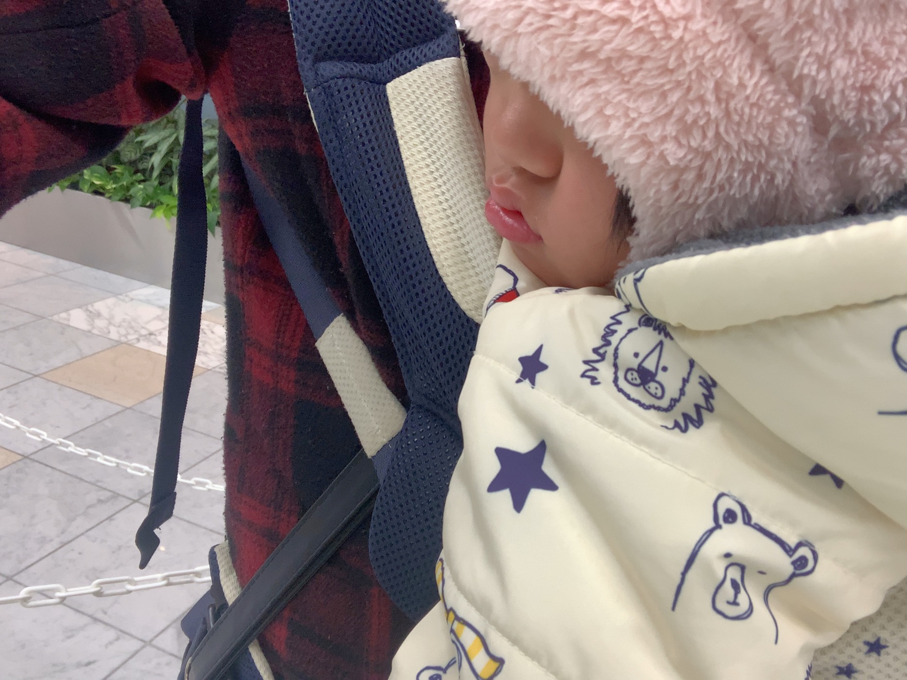 クリックで拡大(撮影:中野龍三)。
