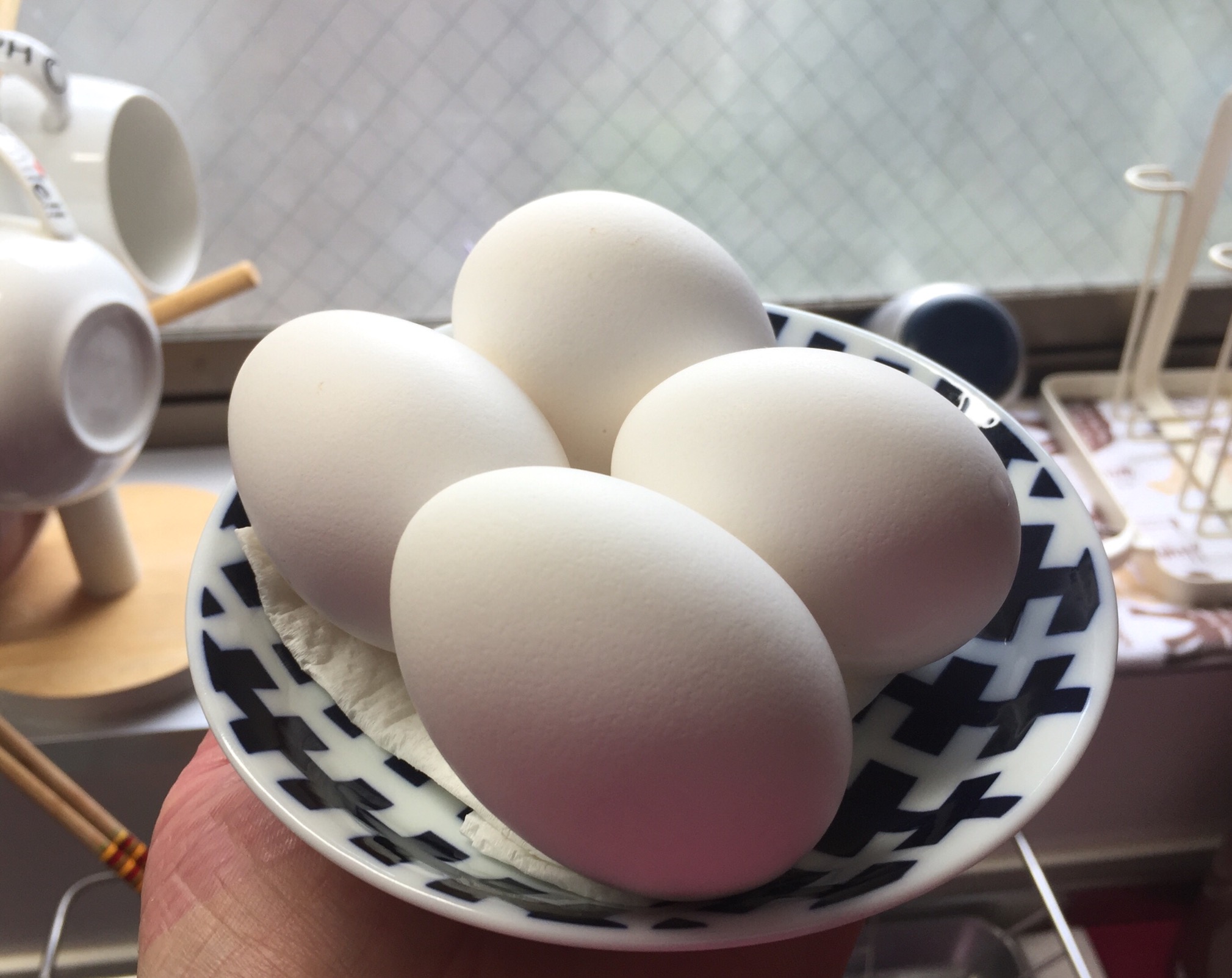 クリックで拡大(撮影:中野龍三)。